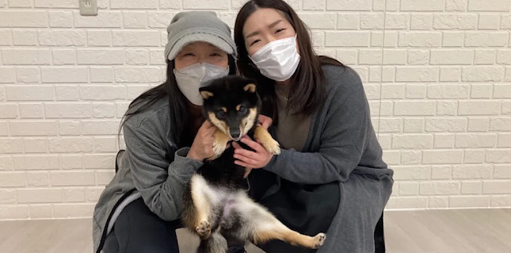 わんたんちゃんと新しい家族