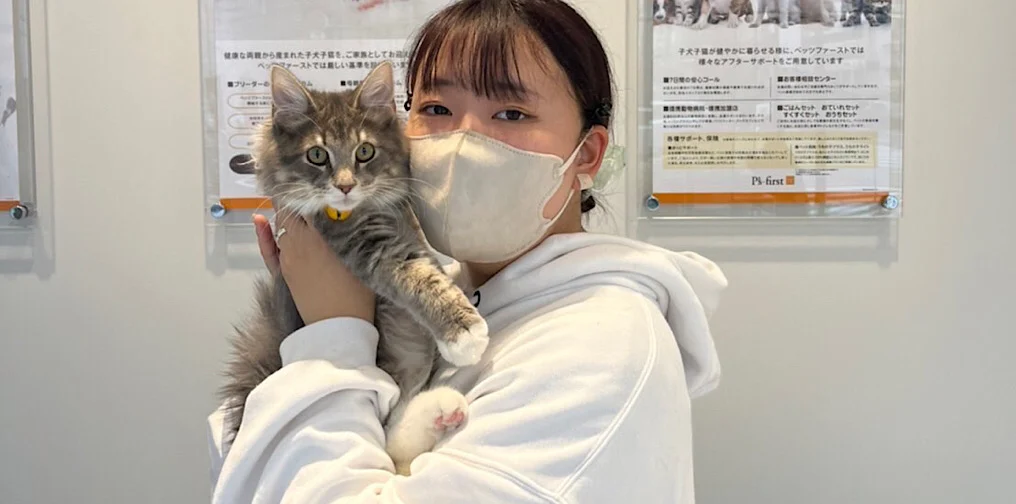 ホイップくんと新しい家族