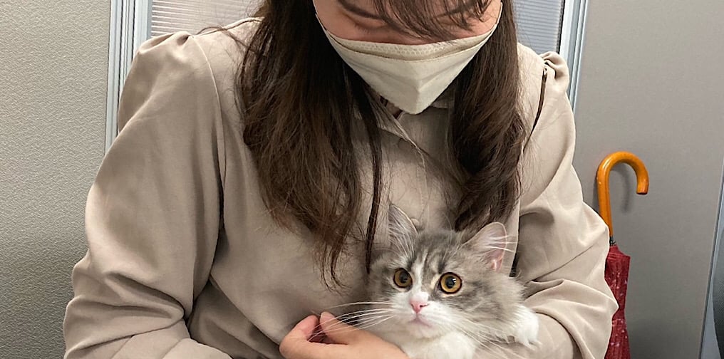 レモンちゃんと新しい家族