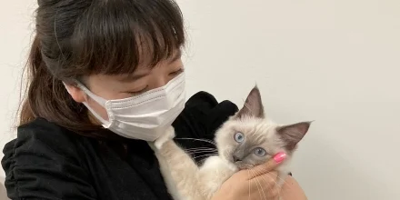 ロキくんと新しい家族