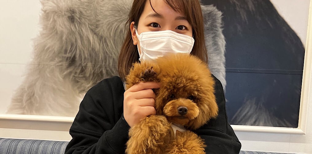 チョコちゃんと新しい家族