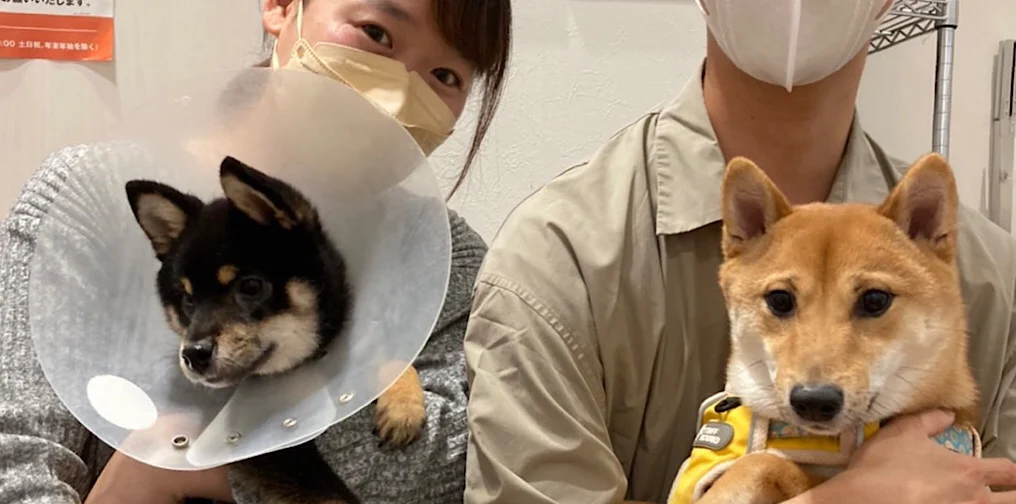 楓（かえで）ちゃんと新しい家族