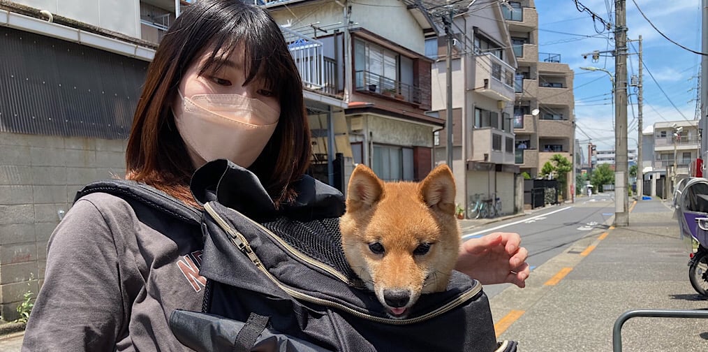 しじみくんと新しい家族