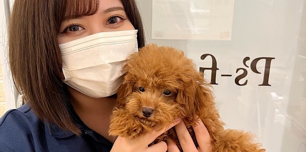 ぽぽちゃんと新しい家族