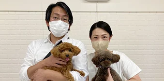 あずきくん
