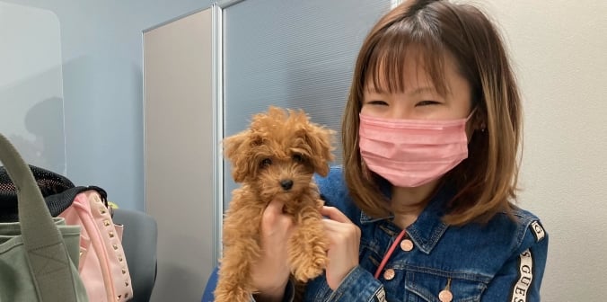 ぽちゃちゃん