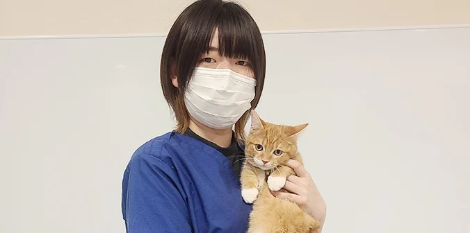 おかかくん