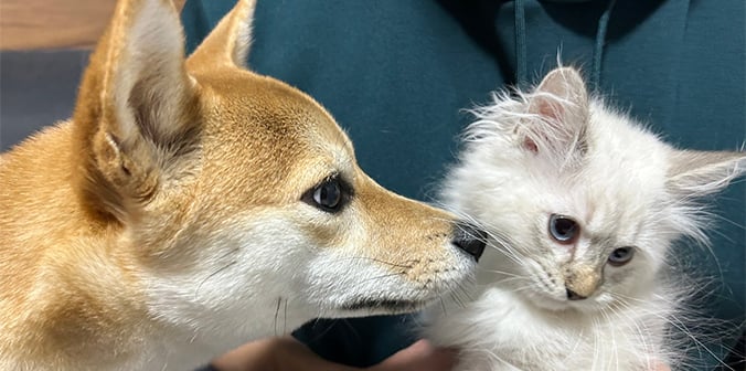さんたまくんと新しい家族