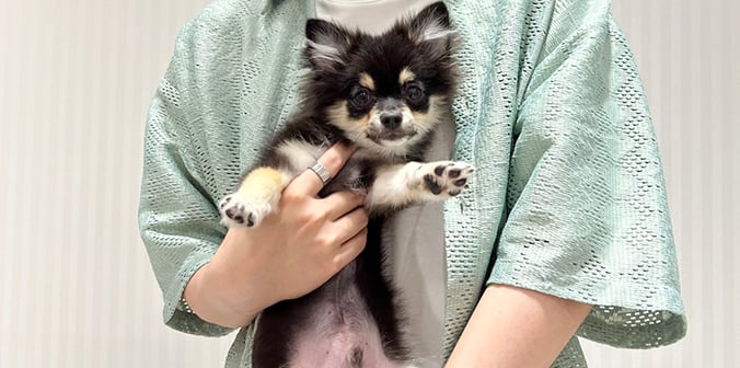 まいたけくん