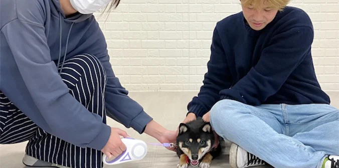 クリくんと新しい家族
