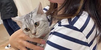 こんぶくんと新しい家族