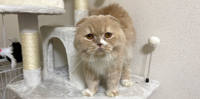 ウォルくん