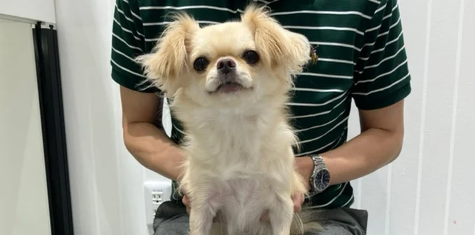 みかんちゃんと新しい家族