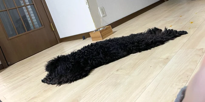 もものすけくん