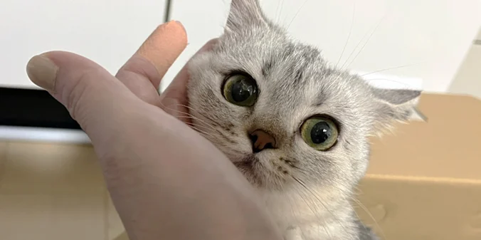 シオンちゃん