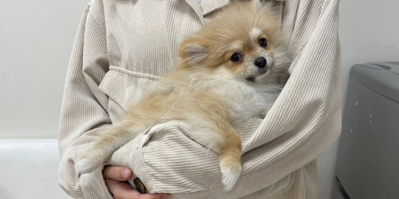 あかまるくんと新しい家族