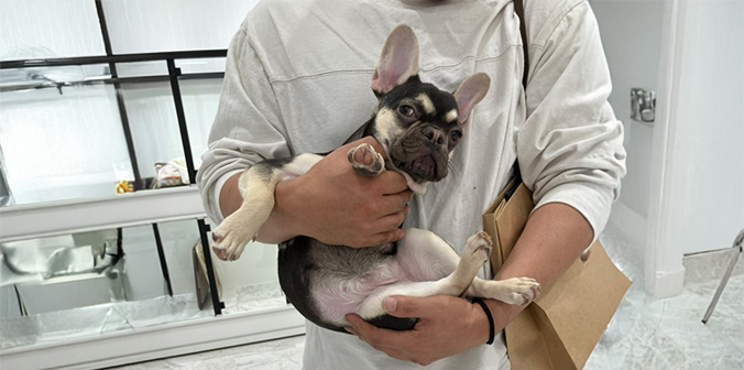 メロちゃんと新しい家族