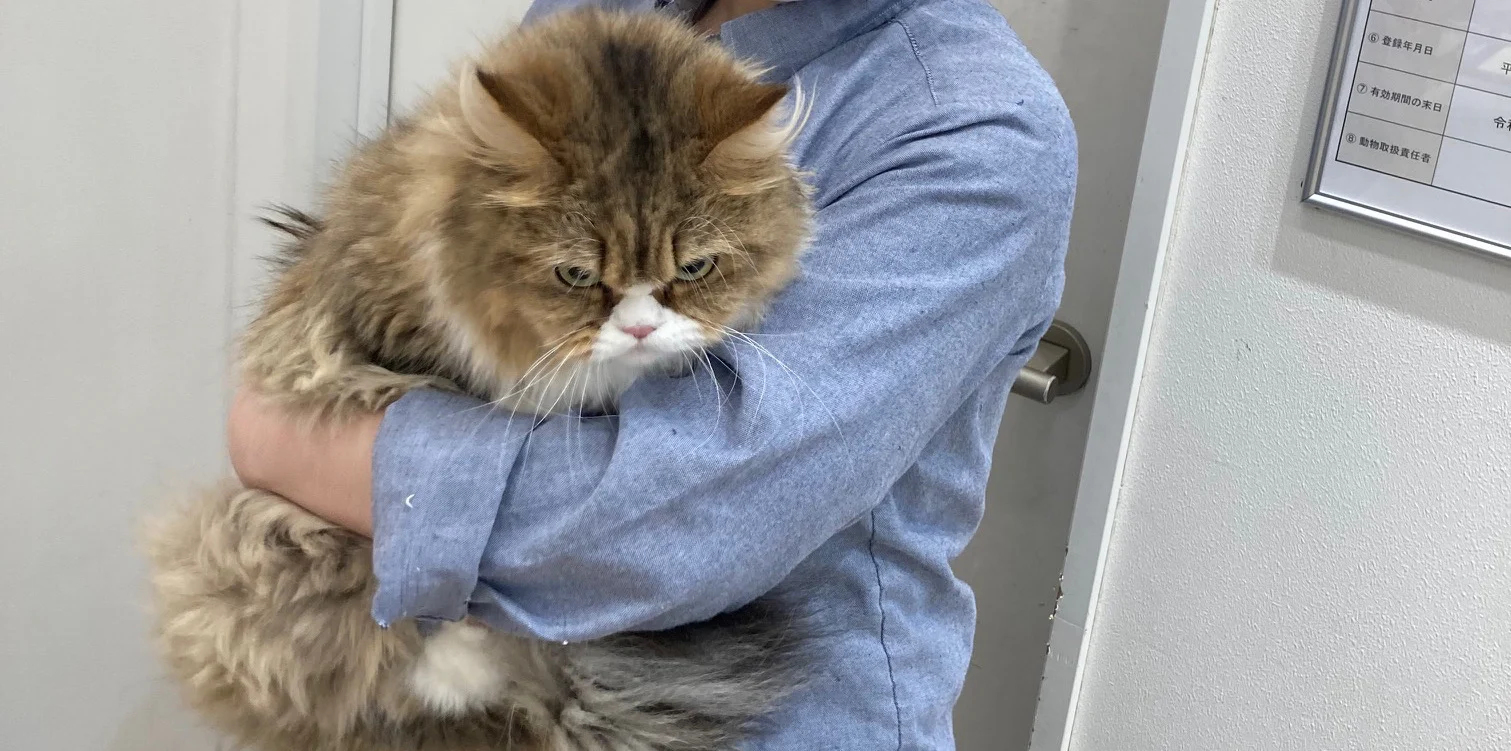 まるちゃんと新しい家族