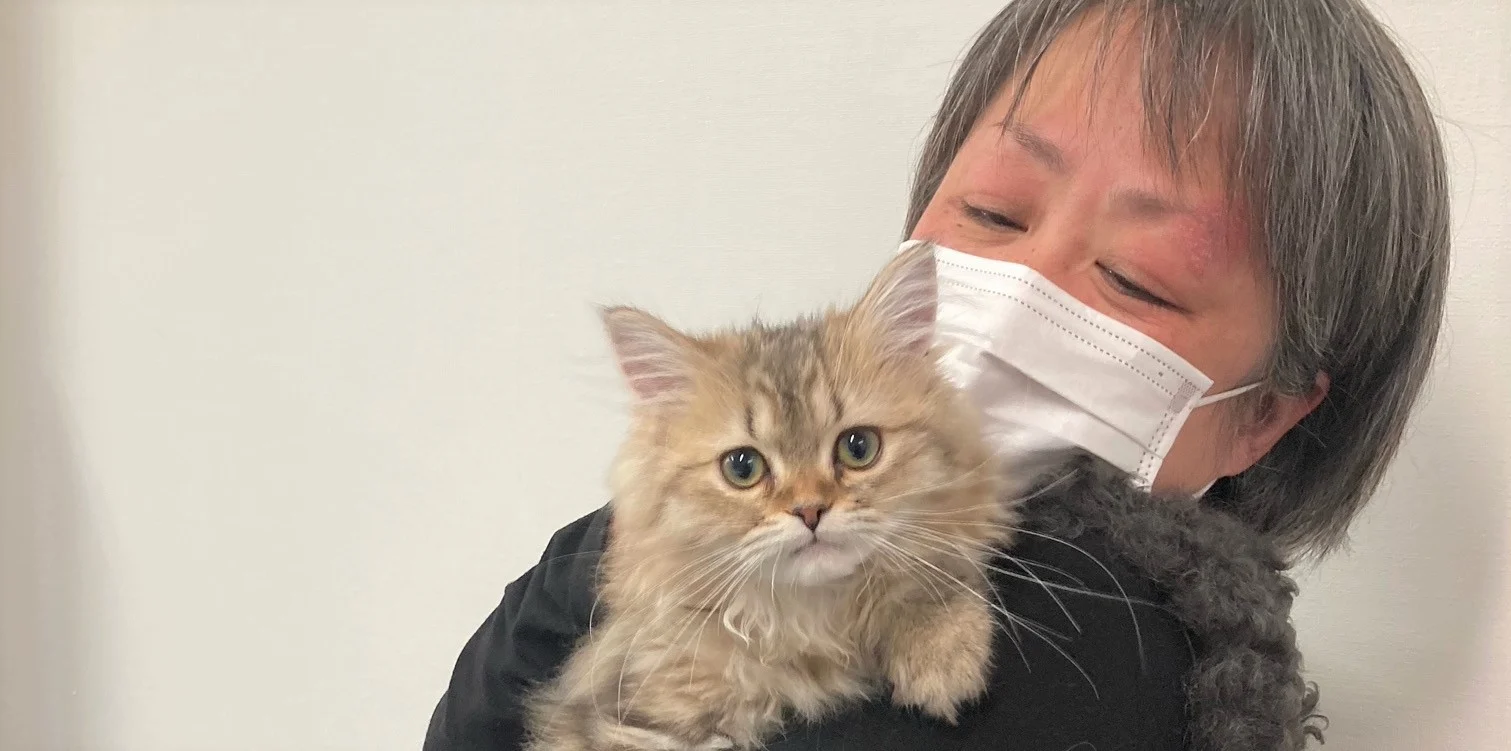 ルルちゃんと新しい家族