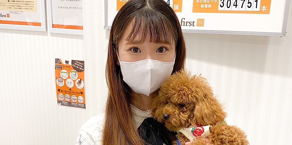 ほくくんと新しい家族