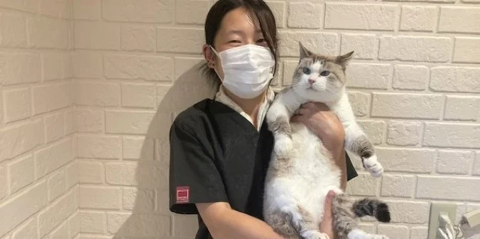 瓜ちゃんと新しい家族
