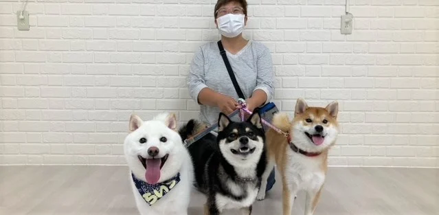 らいちくんと新しい家族