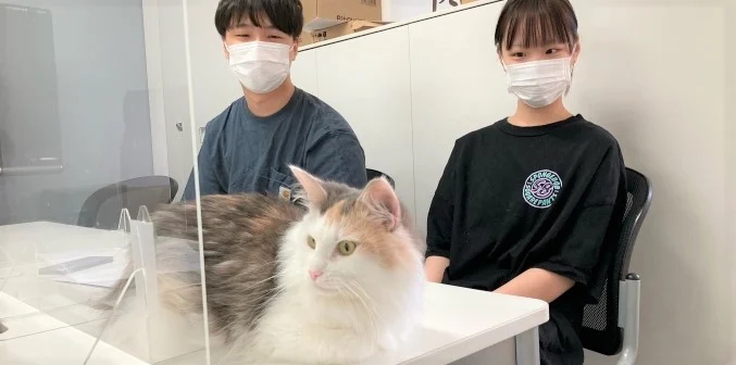 ゆうちぇるちゃんと新しい家族
