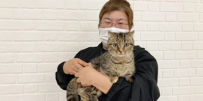 こんぶちゃん