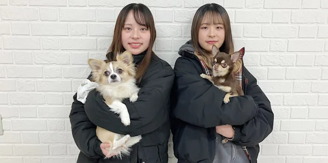 COCOくんと新しい家族