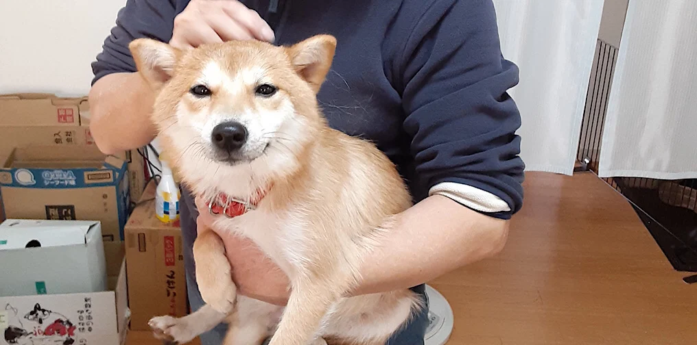 くっぱちゃんと新しい家族