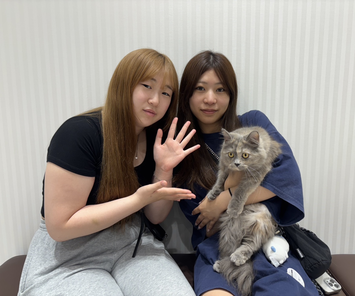 ききららちゃんと新しい家族
