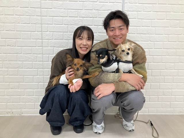 かもめくんと新しいご家族